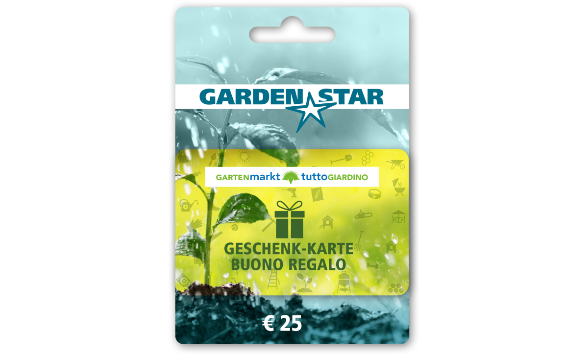 giftcard-25euro