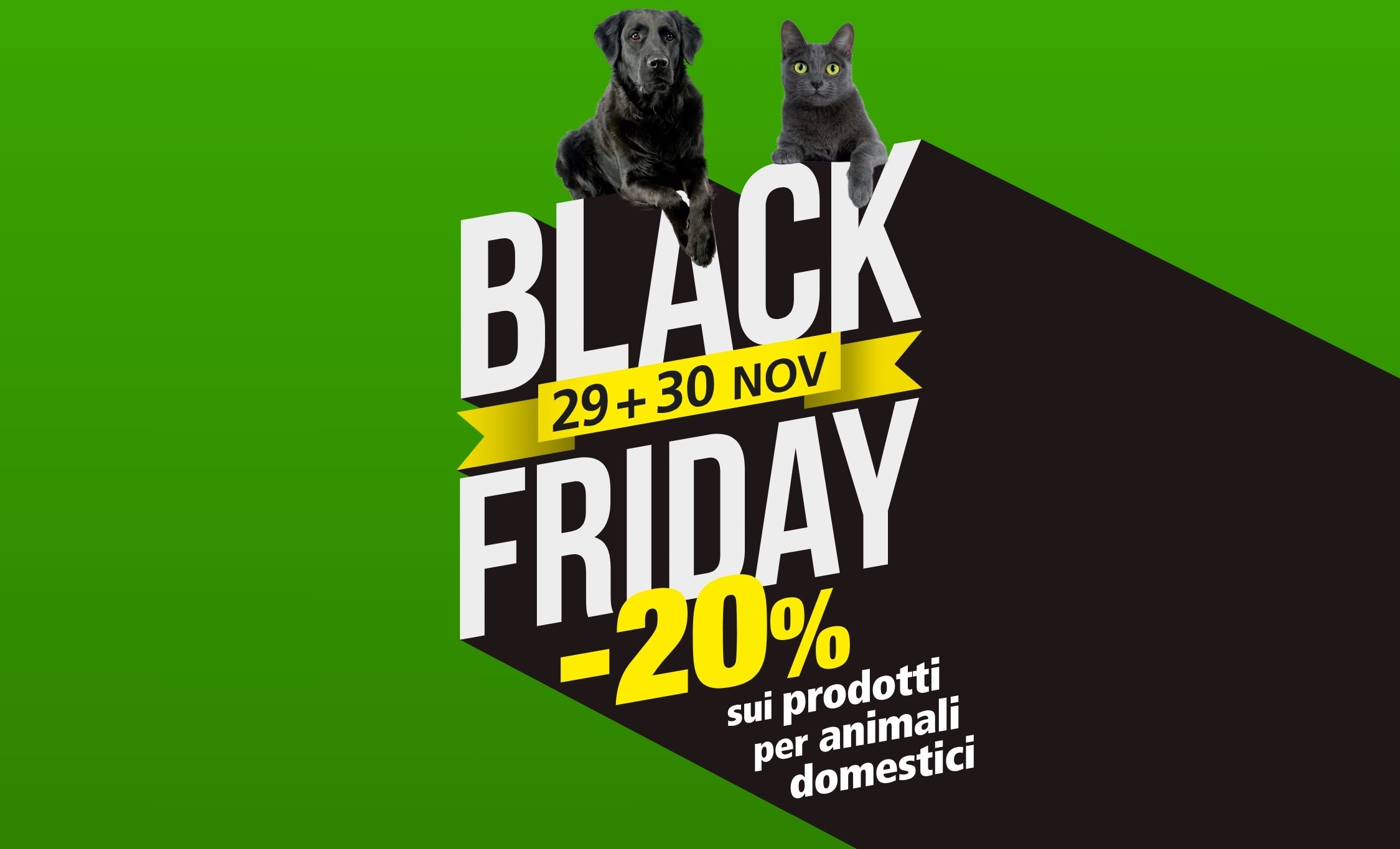 GM-Black-Friday-2250x1365 px-WEB-IT