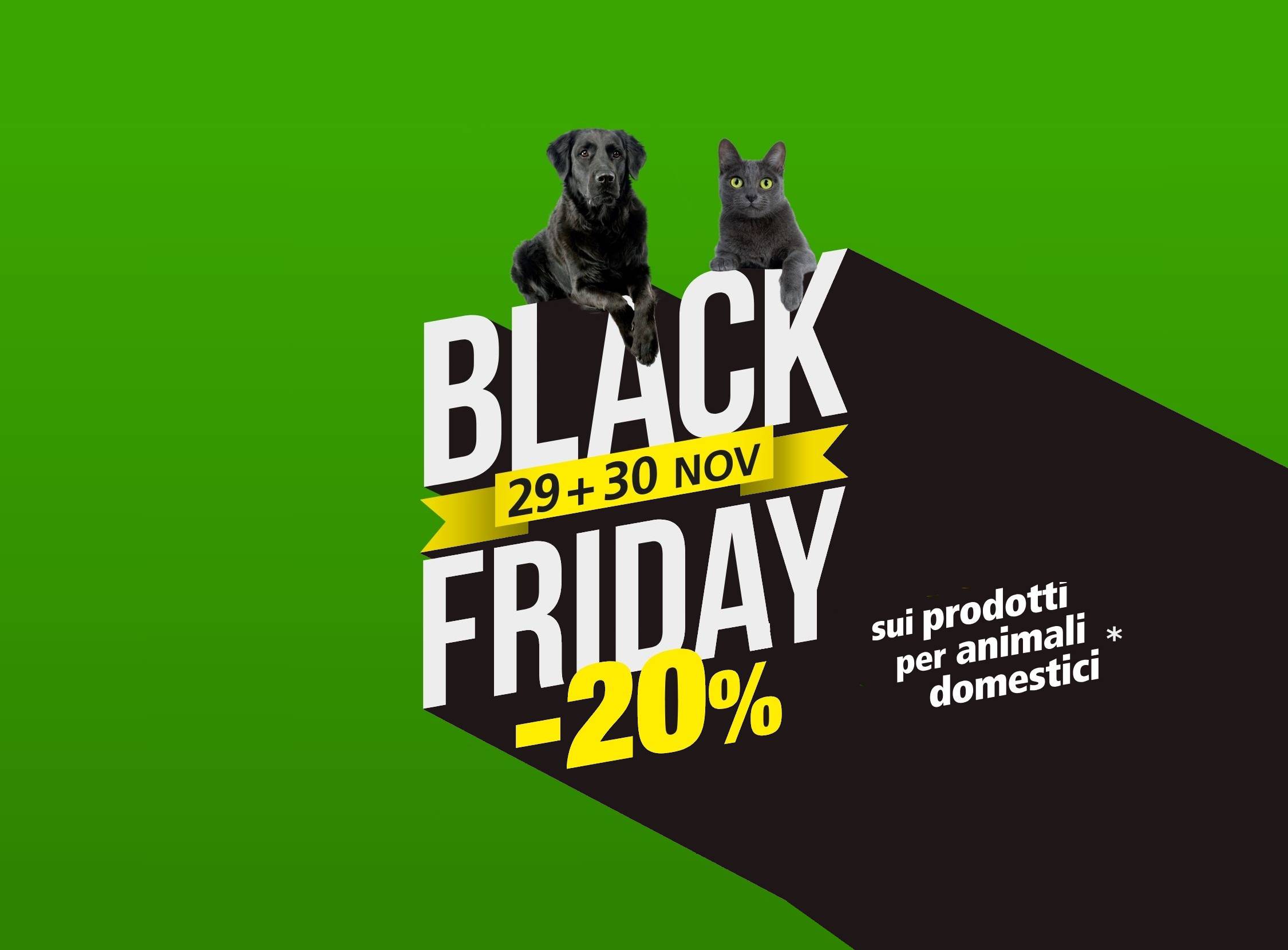 GM-Black-Friday-2250x1660 px-WEB-IT